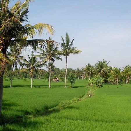 Green Field Hotel And Bungalow Ubud  Bagian luar foto