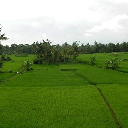 Green Field Hotel And Bungalow Ubud  Bagian luar foto