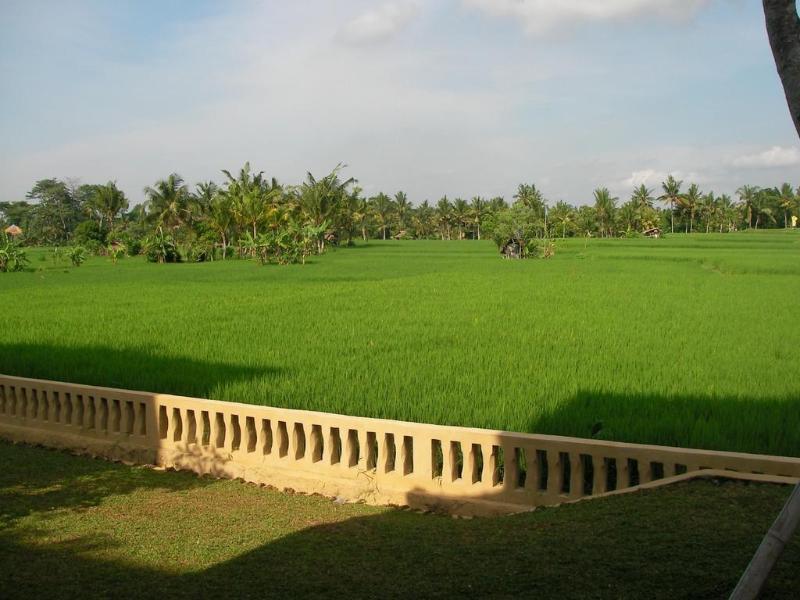 Green Field Hotel And Bungalow Ubud  Bagian luar foto