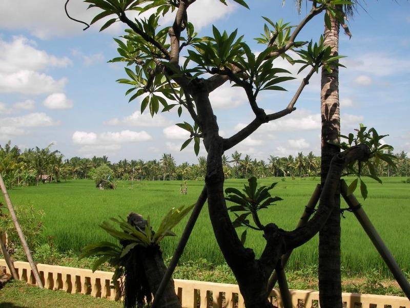 Green Field Hotel And Bungalow Ubud  Bagian luar foto